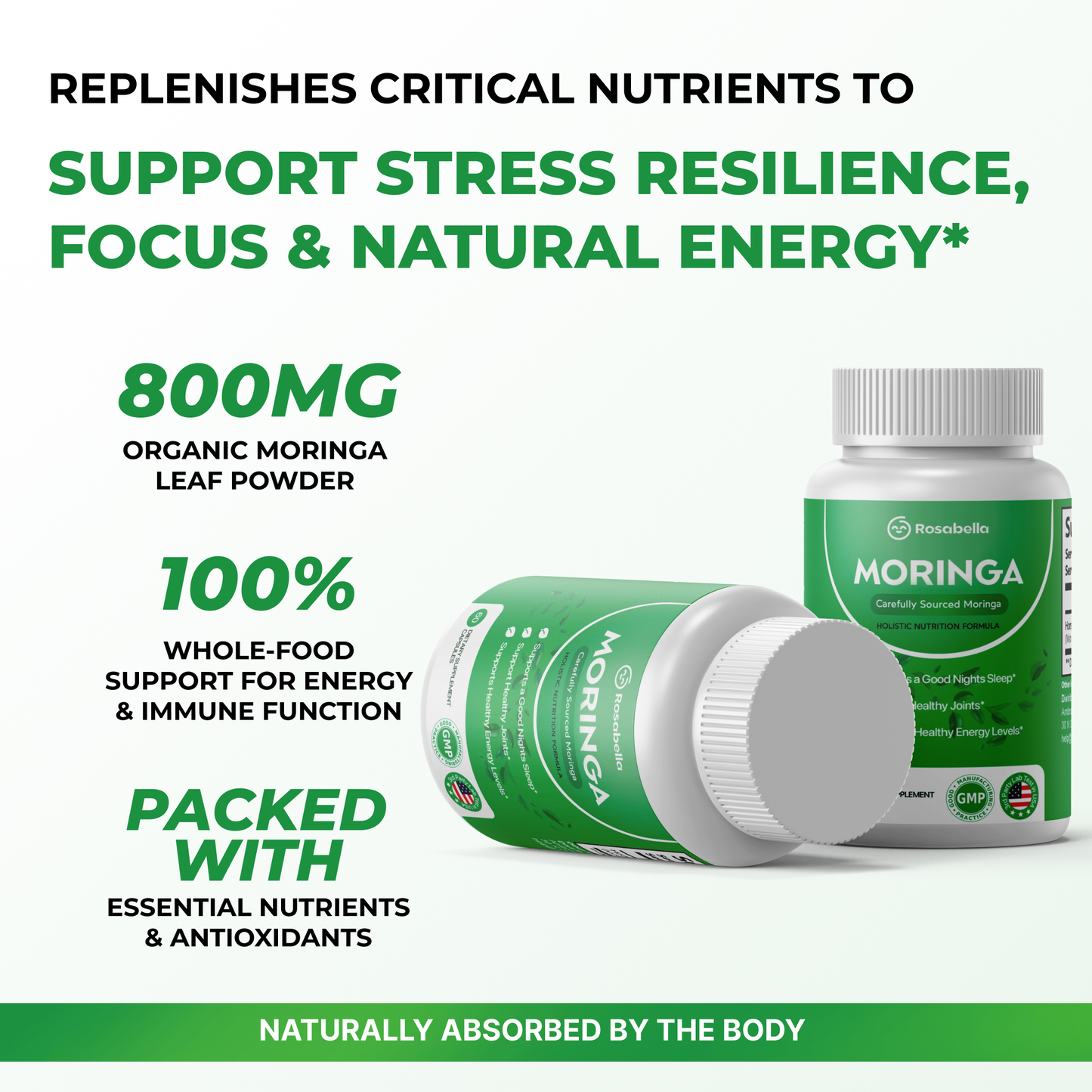 Moringa – Supports Overall Wellness