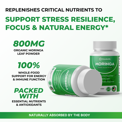 Moringa – Supports Overall Wellness
