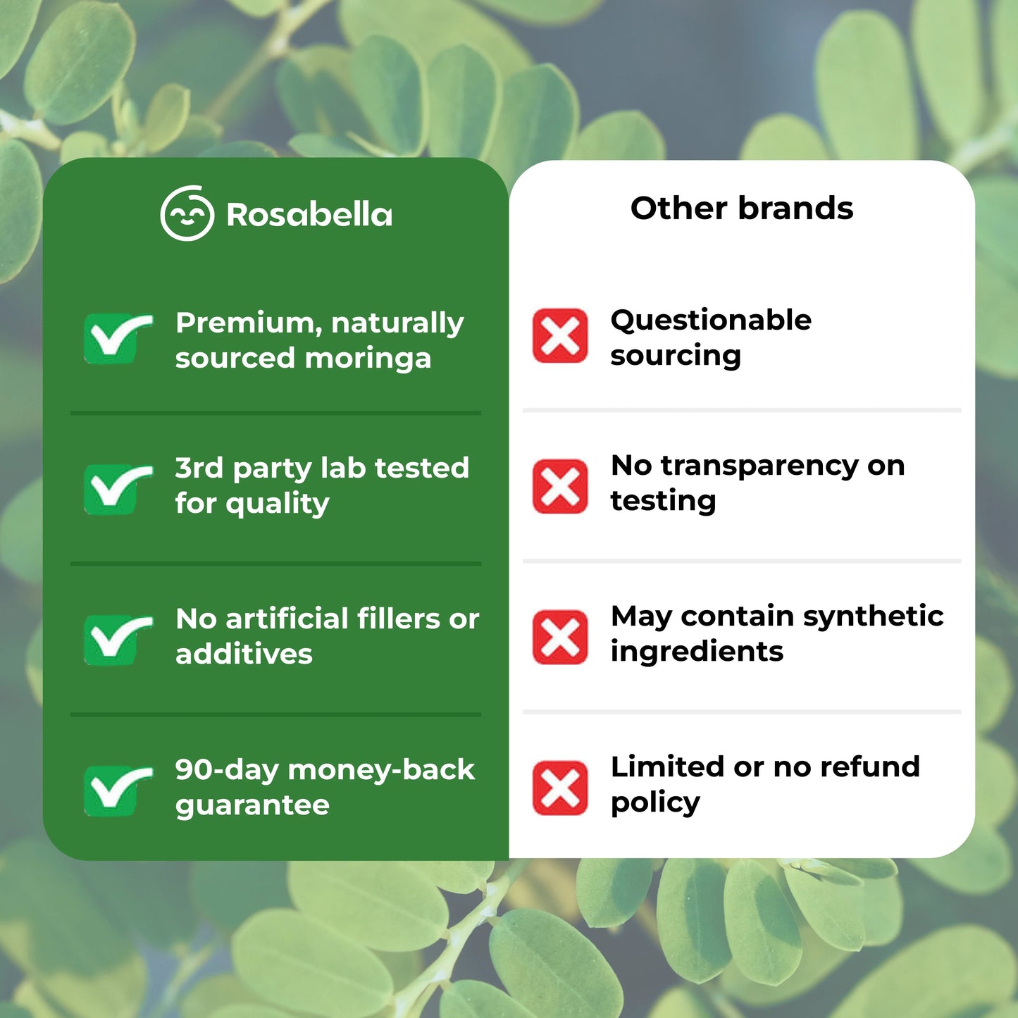 Moringa – Supports Overall Wellness